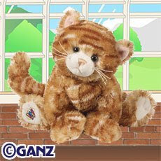 Ginger Cat