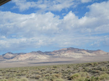 Nevada skyline