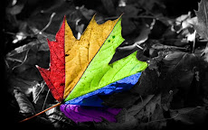 Colors Make A Difference