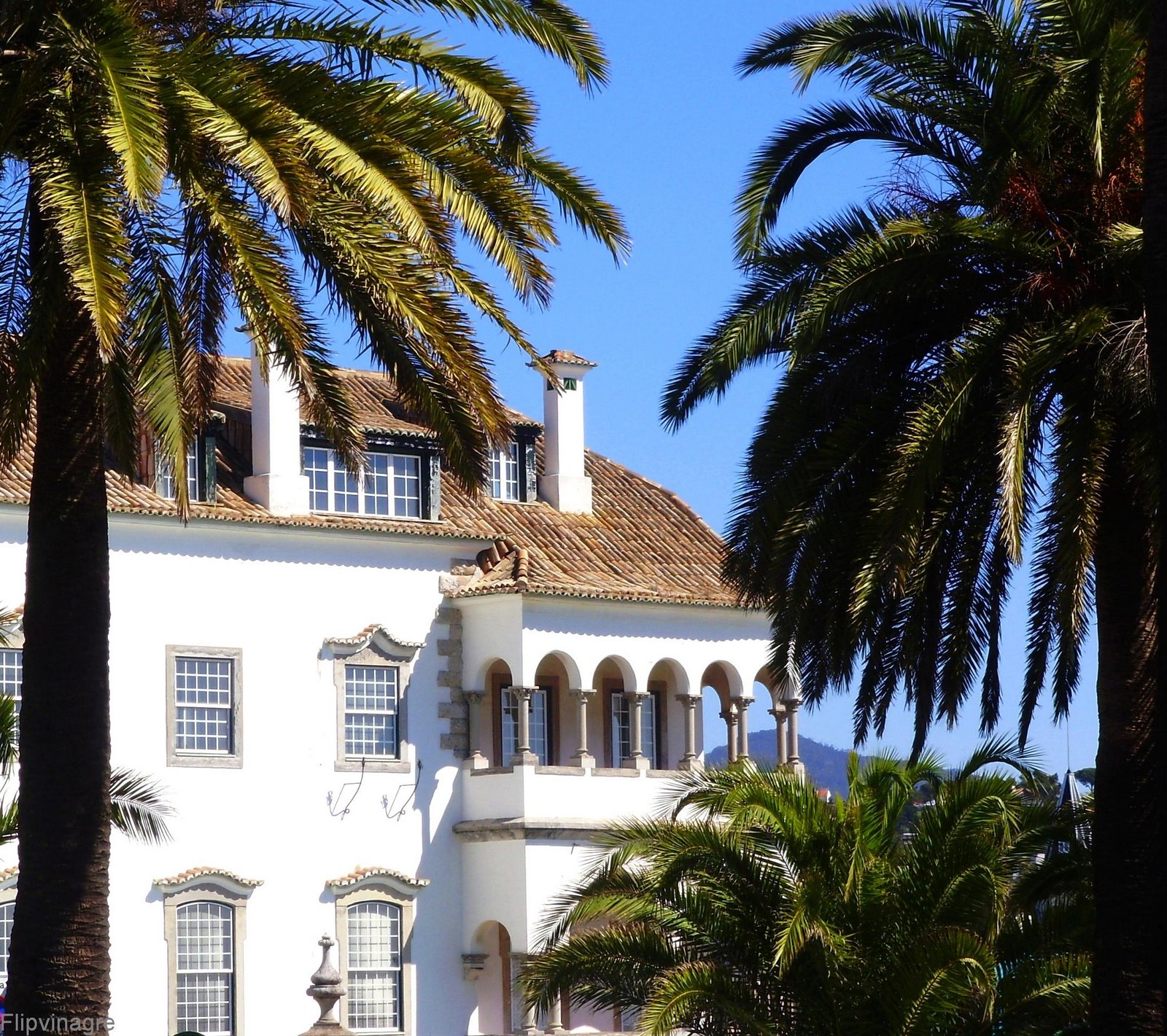 [junto+a+cidadelacascais.JPG]