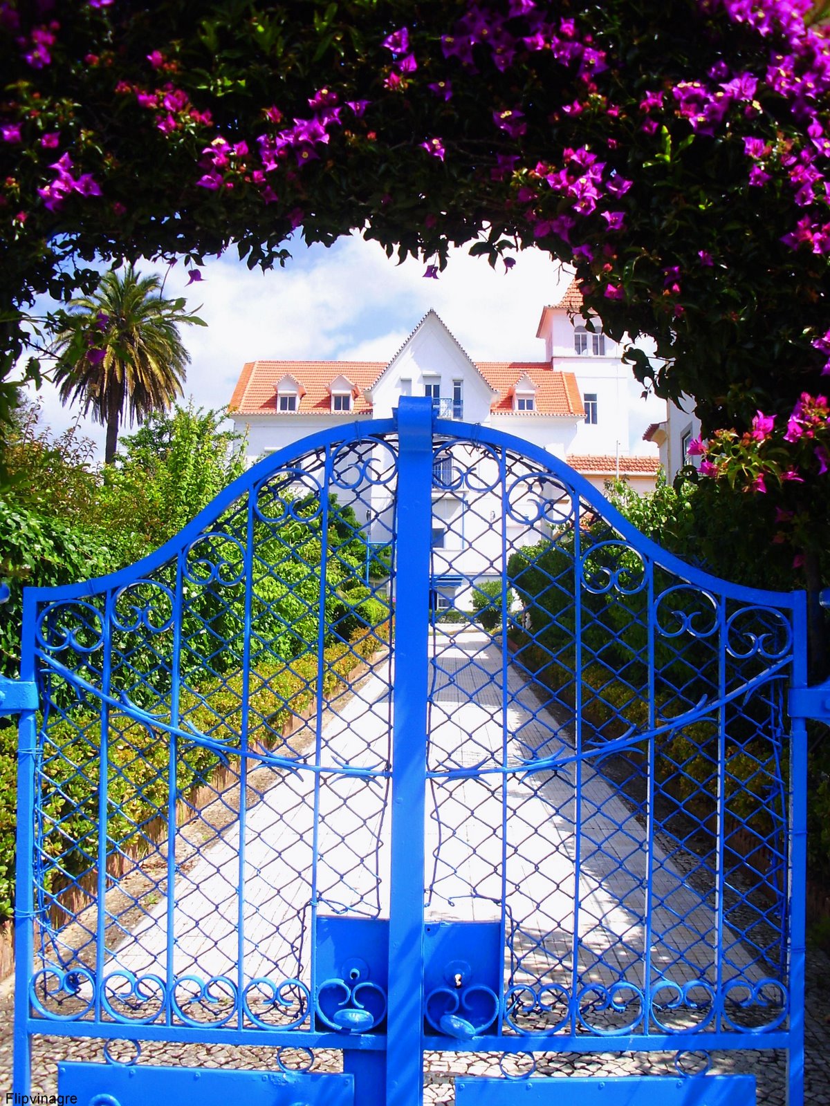 [portãoazul.JPG]