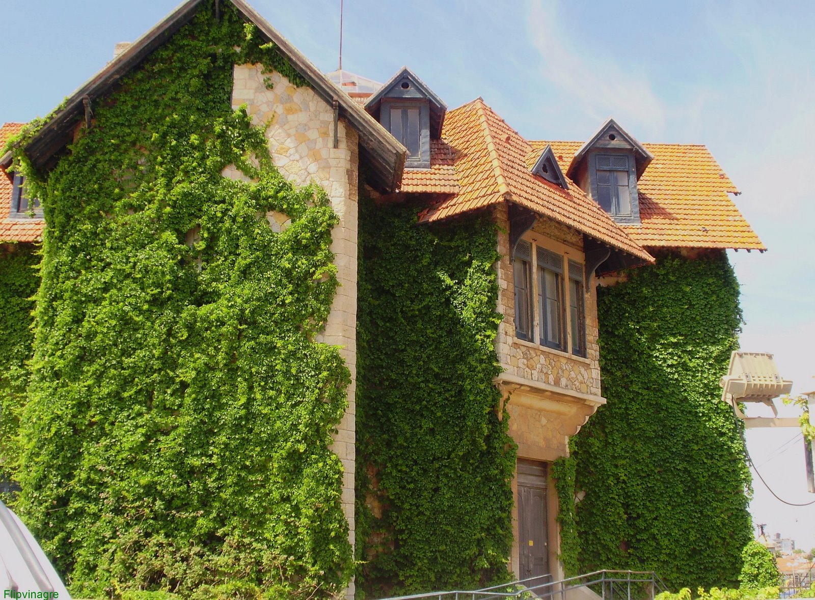 [antigo+tribunal.JPG]