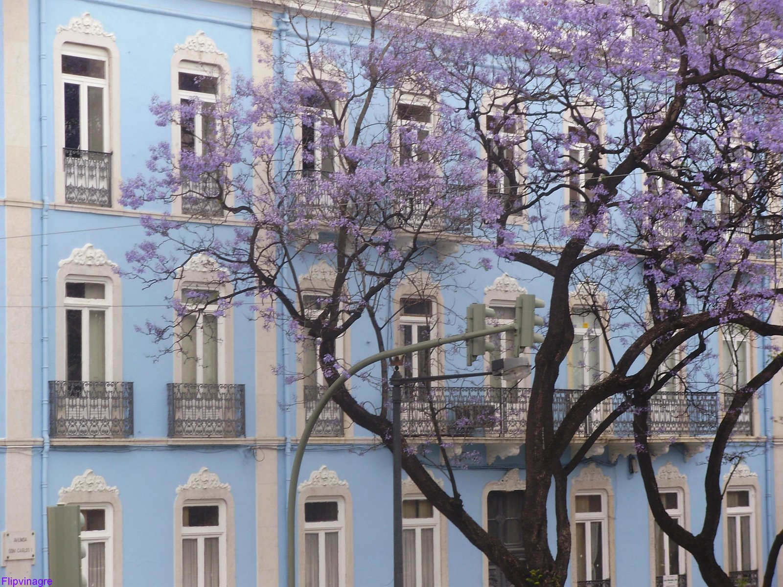 [Av+D+Carlos+I+Lx.JPG]