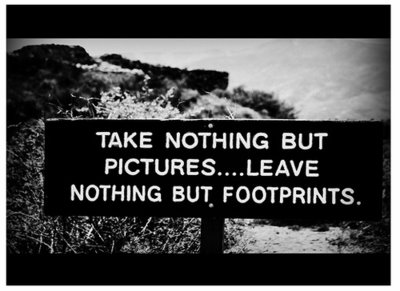 [take+nothing+but+(2).jpg]