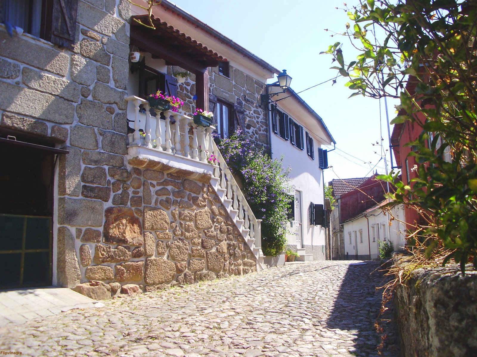 [ruadebaixo+Olivª.JPG]