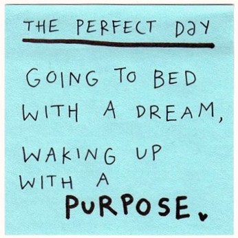 [Cópia+de+perfect+day.jpg]