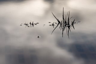 [a+vida...Mia+Couto+(2).jpg]