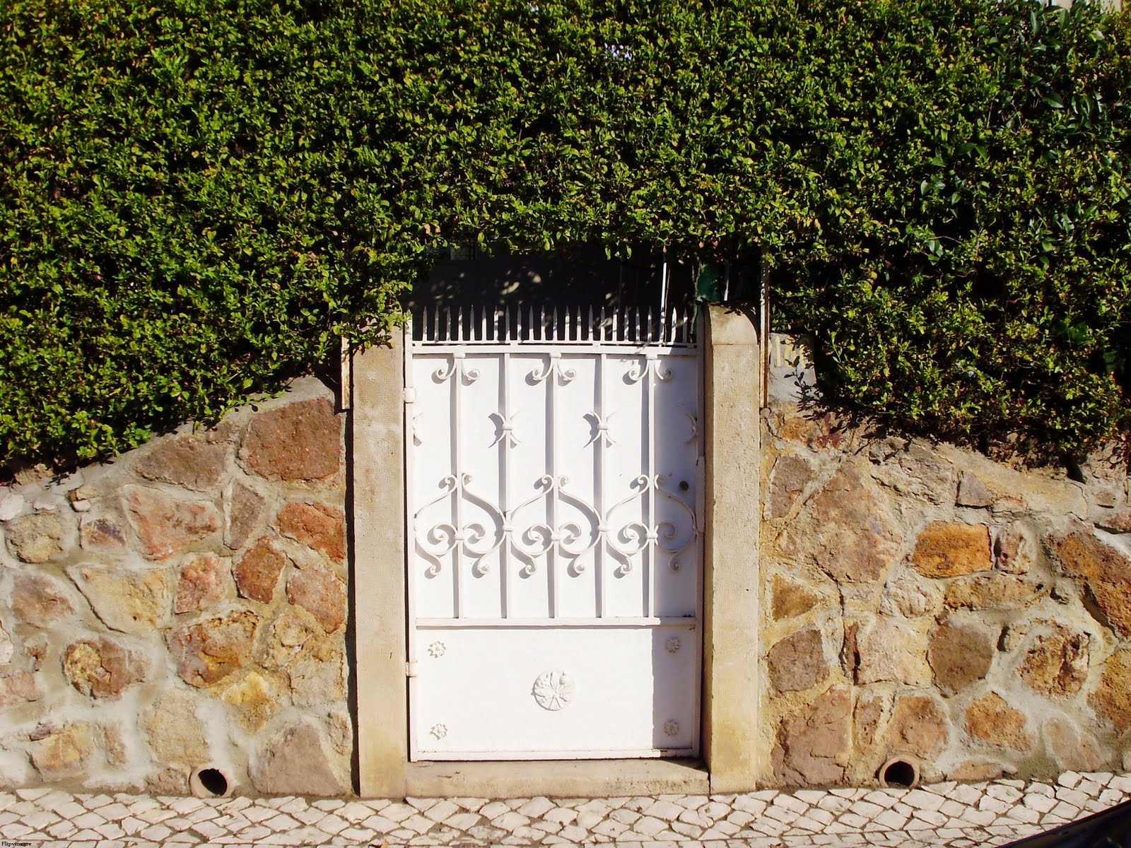 [simetricamente+quase+perfito.JPG]