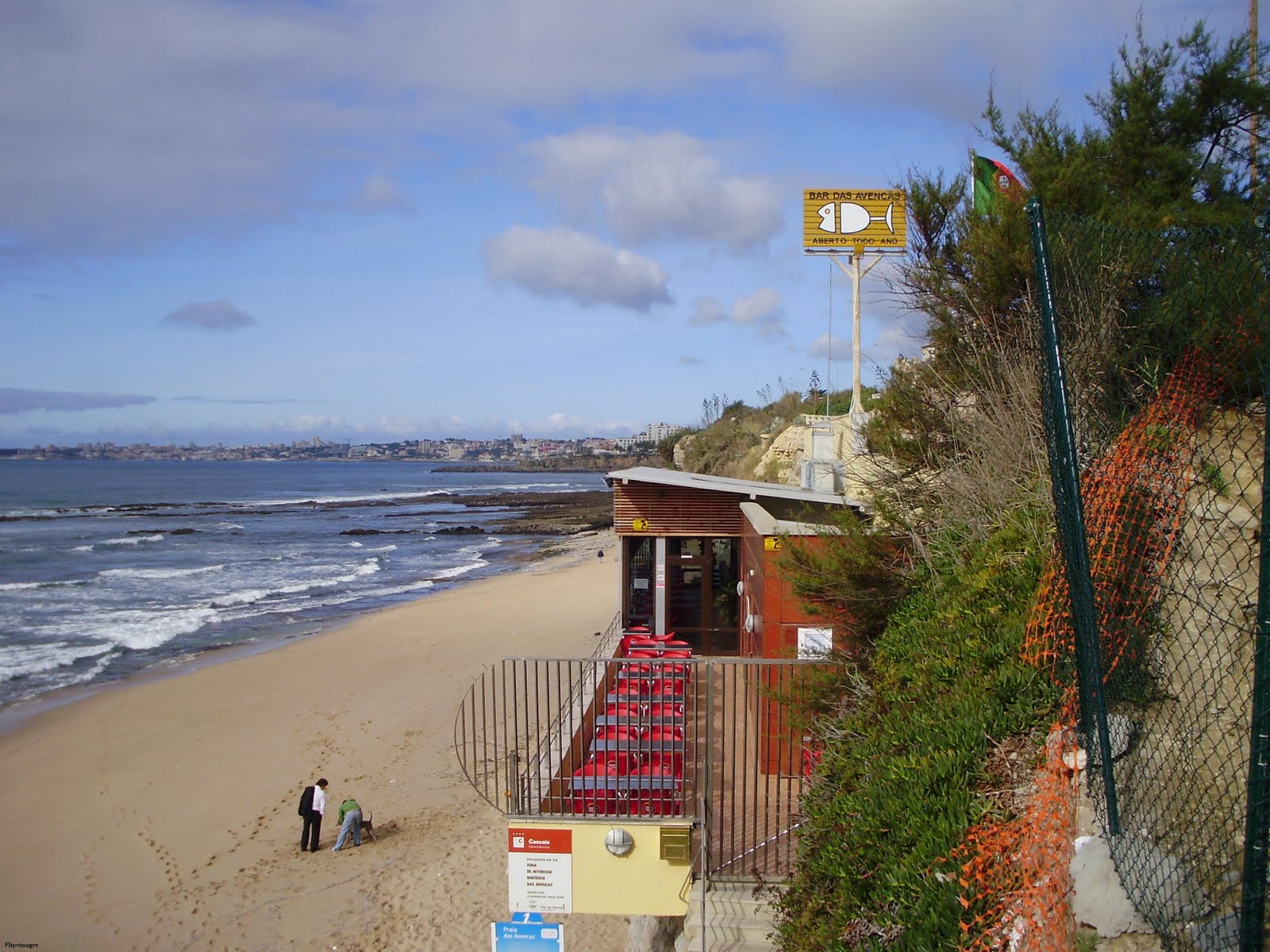 [praia+das+avencas.JPG]