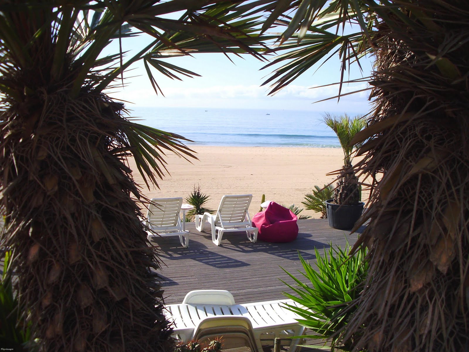 [em+total+relaxamento.JPG]