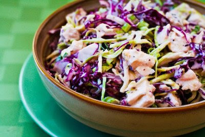 Low-Carb Chicken and Shredded Cabbage Salad Recipe with Mustard and Celery Seed (Gluten-Free) found on KalynsKitchen.com