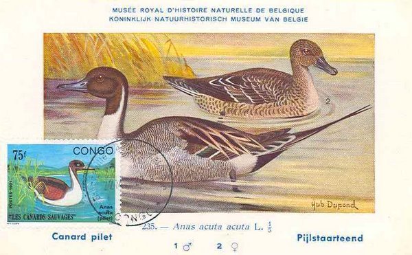 [n641473013_1069865_7600.jpg]