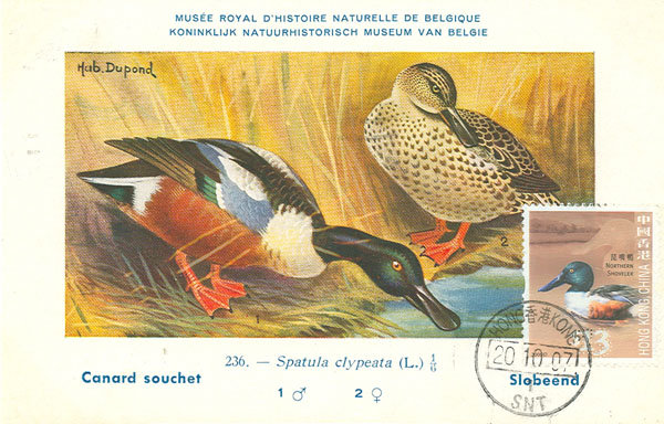 [n641473013_1078785_4089.jpg]