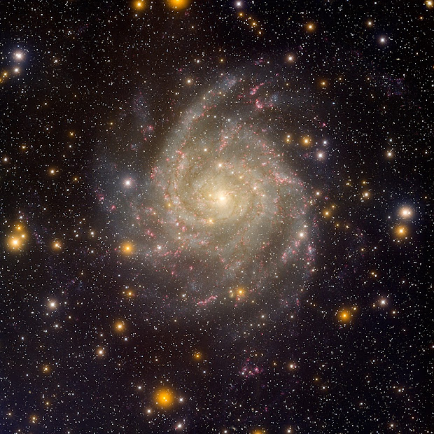 Beautiful IC 342: a Star Formation and Astrochemistry Laboratory
