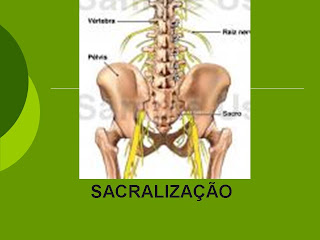 Professor Nelson: Lombarização e Sacralização