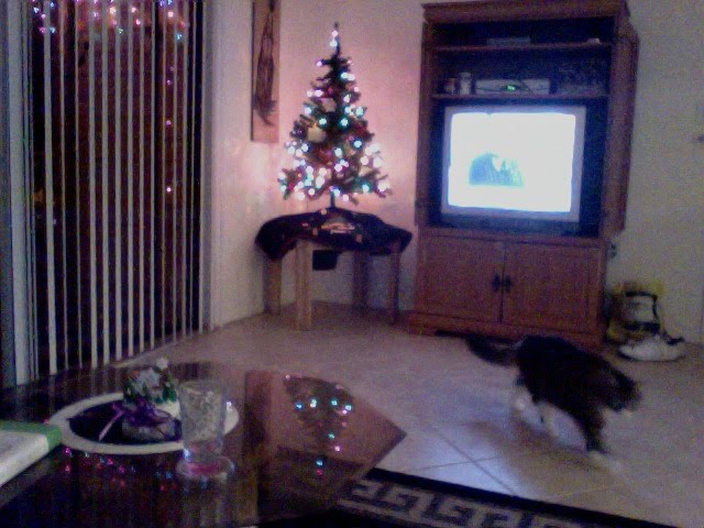 [Photo+on+2009-12-17+at+22.24.jpg]