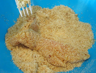 Crispy homemade chicken fingers that are baked in the oven. Life-in-the-Lofthouse.com