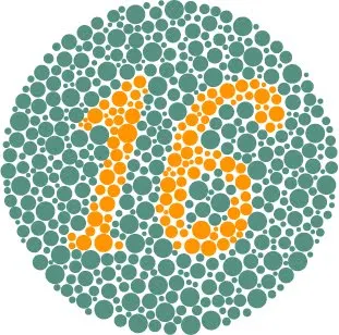 ishihara color blindness plate
