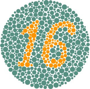 ishihara color blindness plate