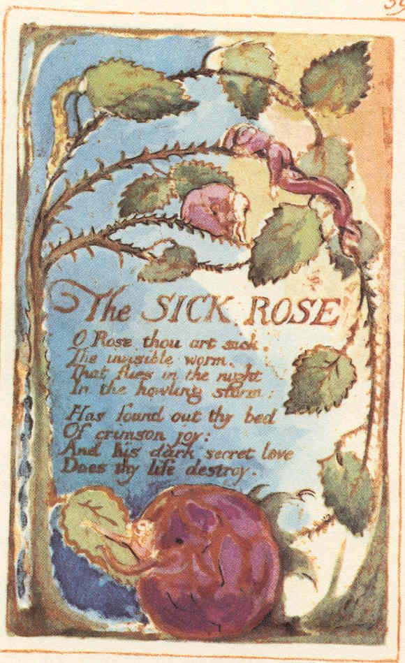 William Blake The Sick Rose Yalanpara