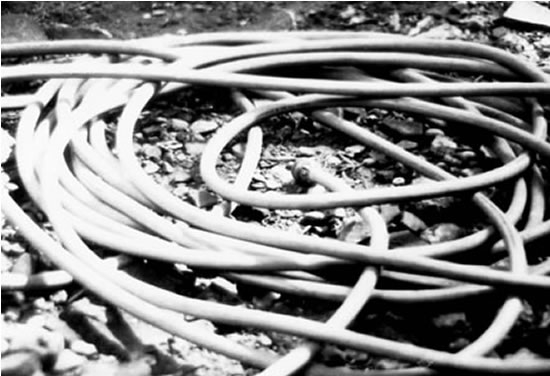 [water+hose.jpg]