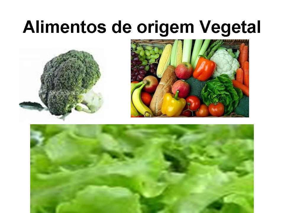 Colégio Sinodal Barão do Rio Branco