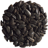 Black Seed Oil Can I Take It With Food Black Seed Oil Can I Take It With Food