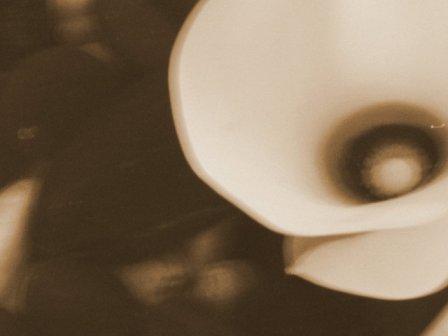 [Maio+london++2007+056-1.jpg]