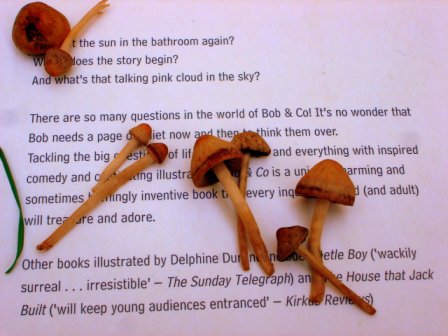 [julho+2+07+014-59.jpg]