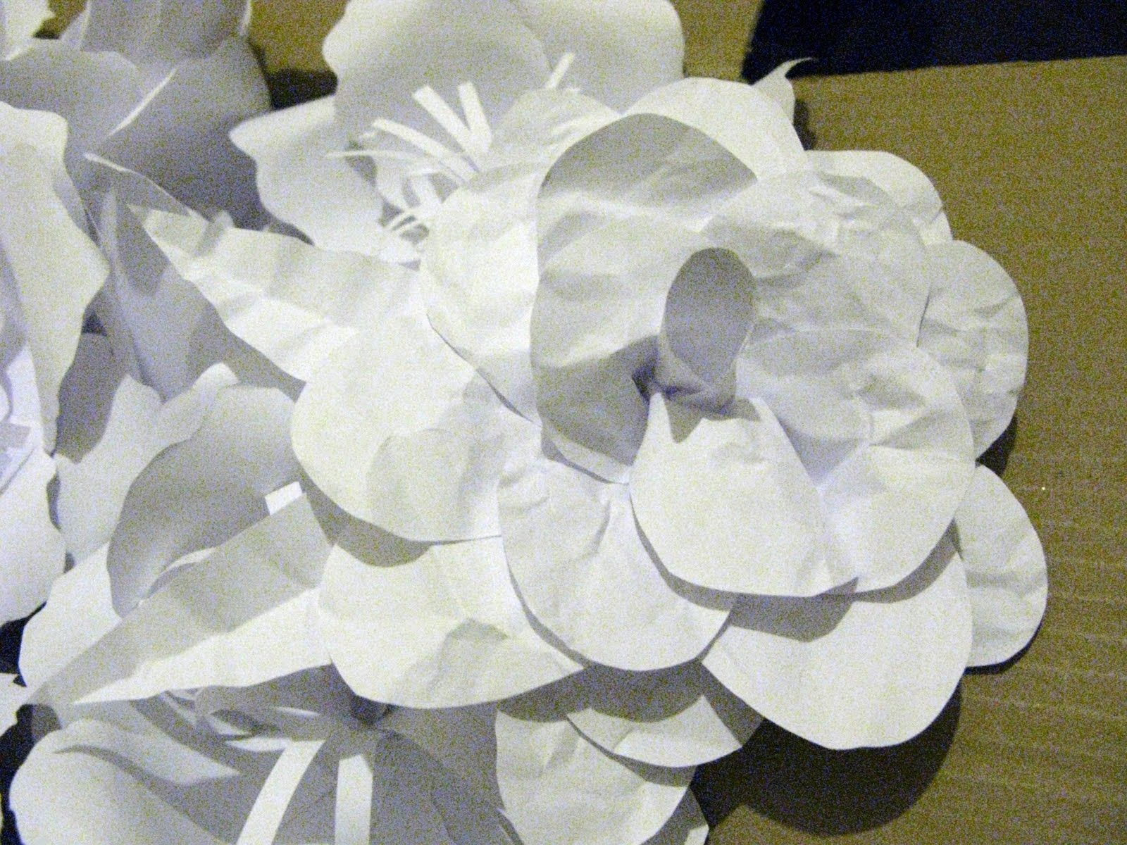 Paper Blooms Project Blooming Flowers