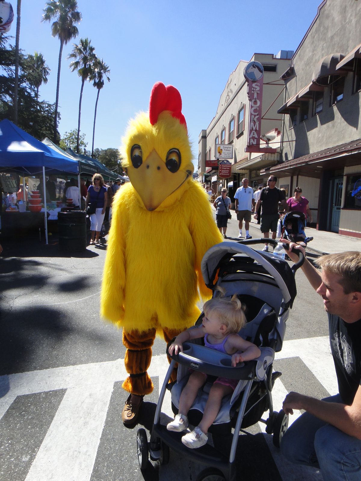 All Things Elise & Alina Fair Oaks Chicken Festival Photos