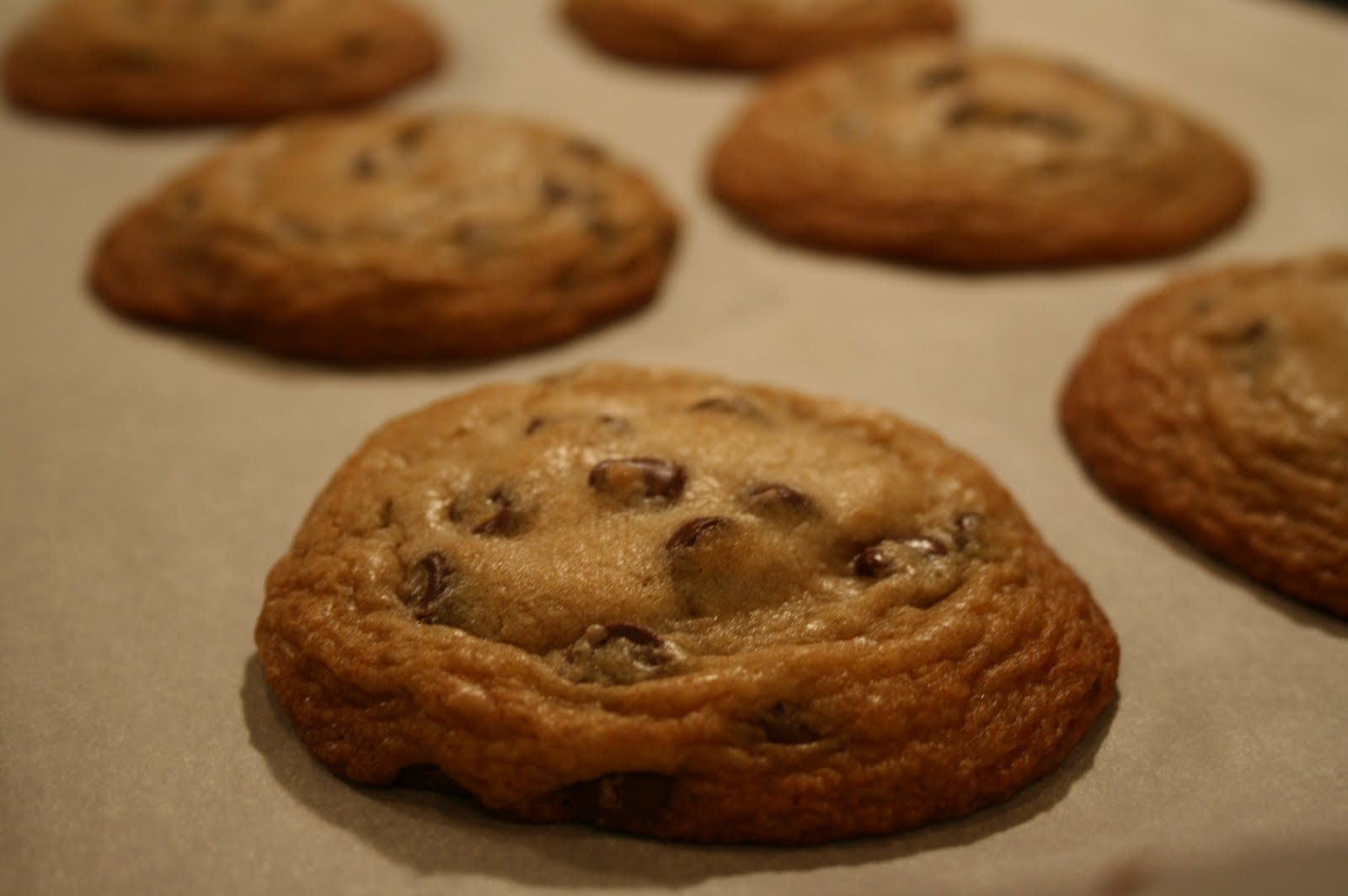 Shimmy Shake Bake RayRay's Famous Chocolate Chip Cookies