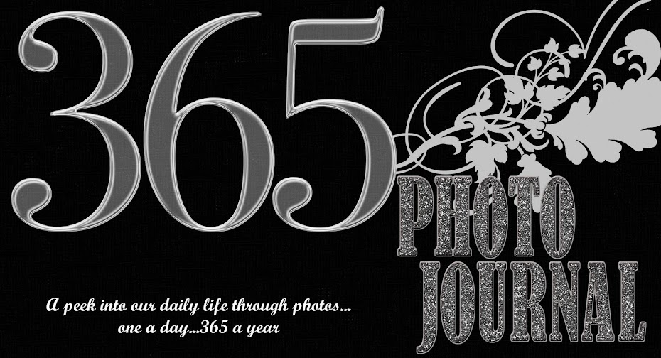 365 Photo Journal