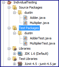 [individualTestingProjectDirectoryStructure.png]