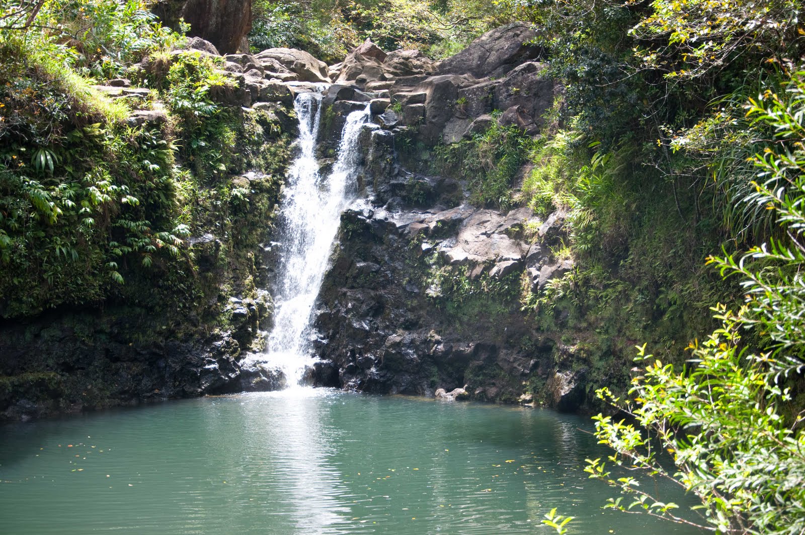 Justin and Lauren Conquer the World! ) Maui, Hawaii Hana Highway