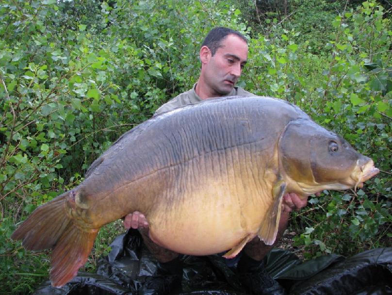 World-record carp caught twice in a week by different anglers