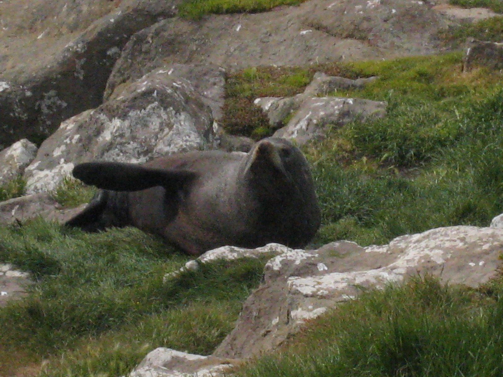 [IMG_0468.JPG]