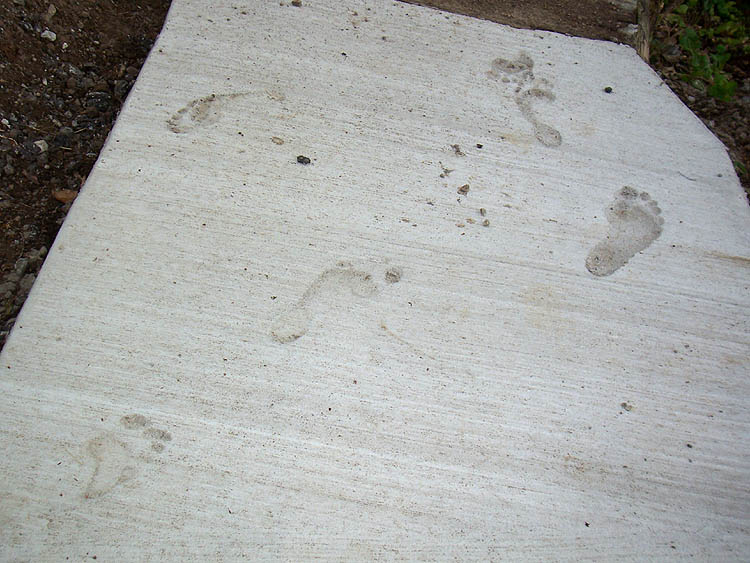 [cement_footprints.jpg]