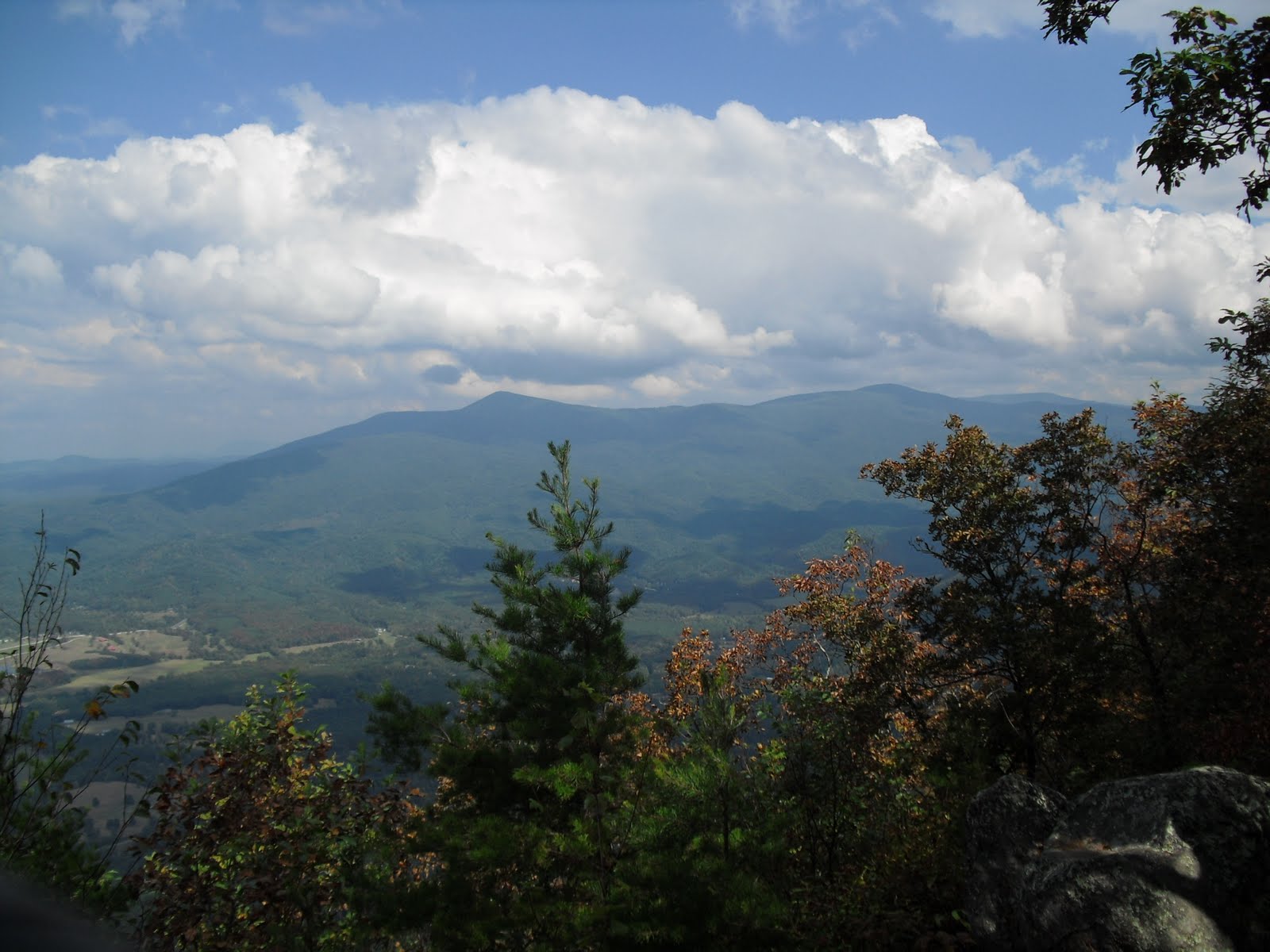 Woodster's Wreal World Cohutta mountains and Cohutta Wilderness