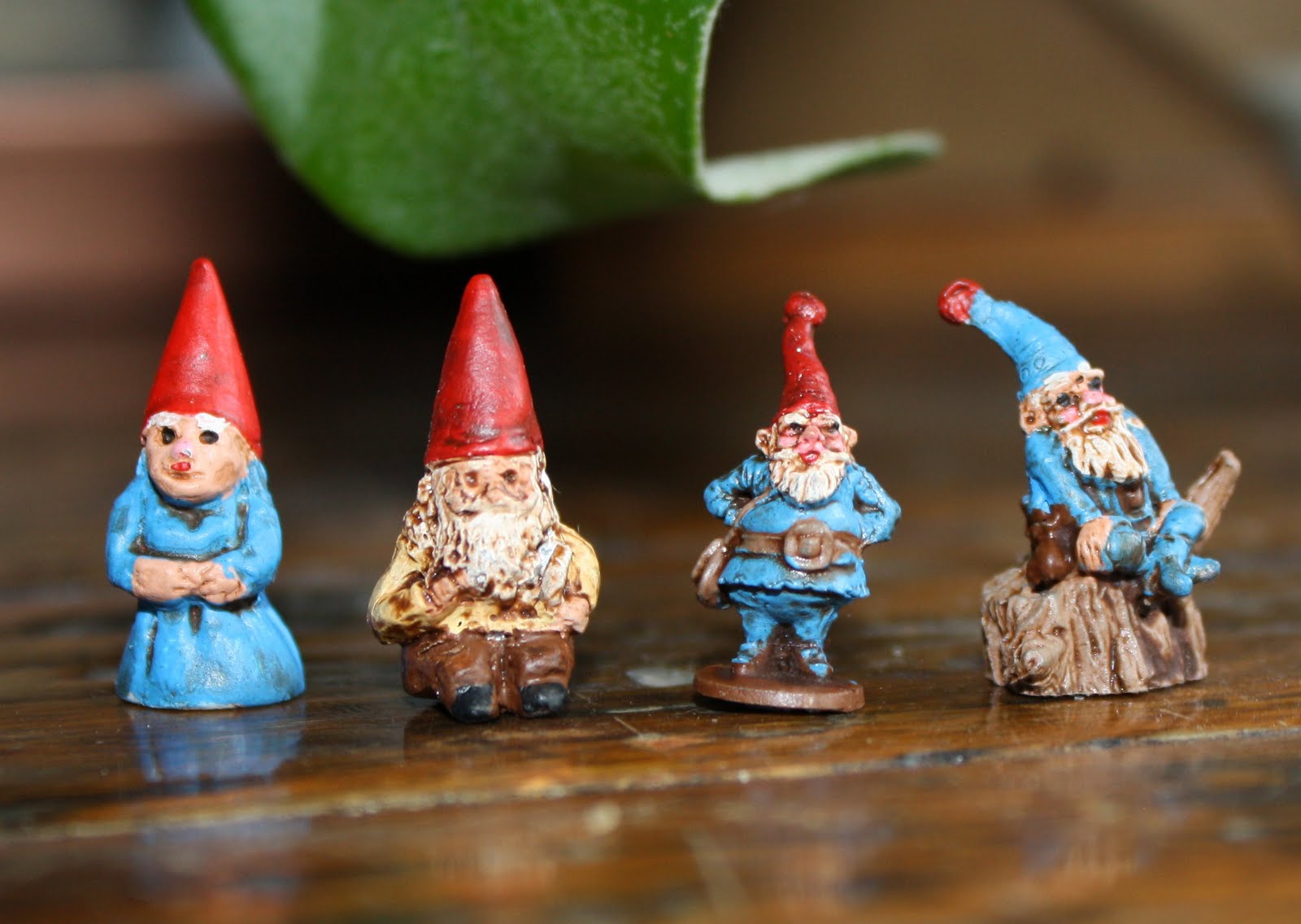 The PURE Gardener, Inc. Tiny Gnomes.