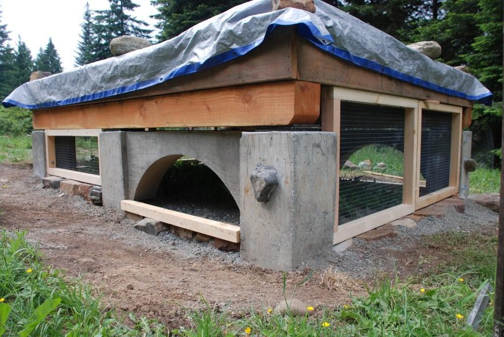 Tag: chicken coops - Timber Creek Farm