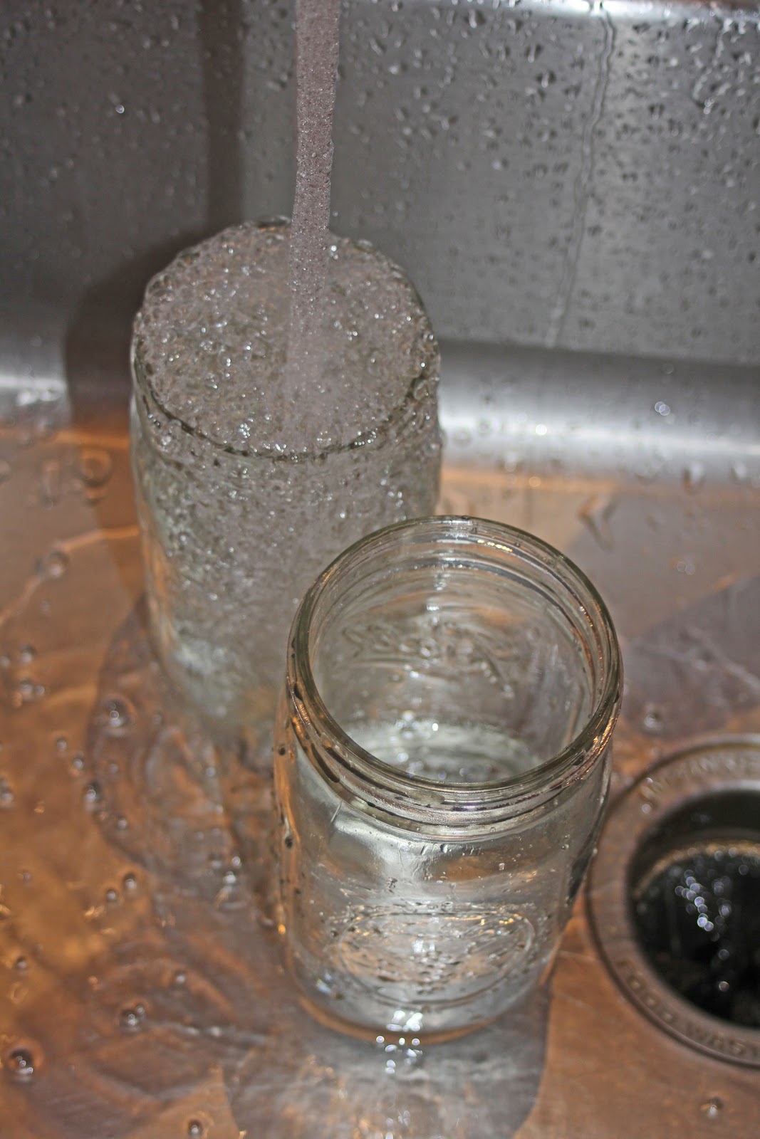 The Grub Files Cooking with Camissonia Finish Brine for WaterCured Olives