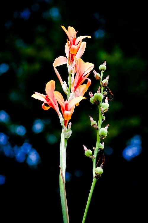 [08Sep17_Brookside_314.jpg]