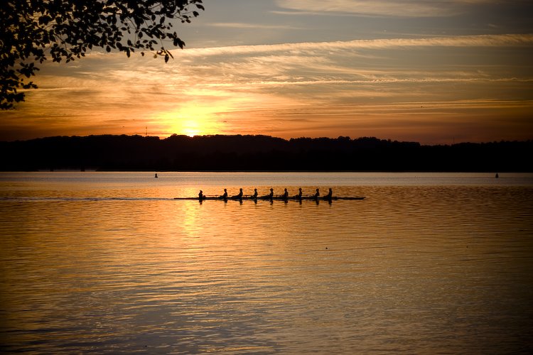 [sunrise.ducks-2.jpg]