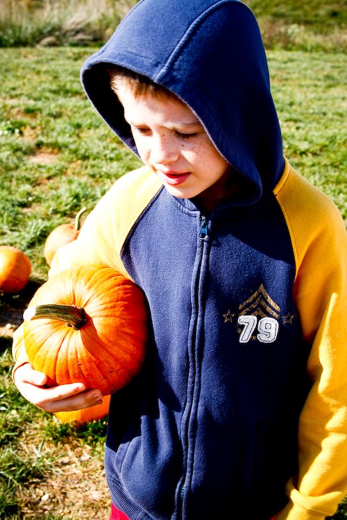 [08Oct17_mtnside_75.jpg]