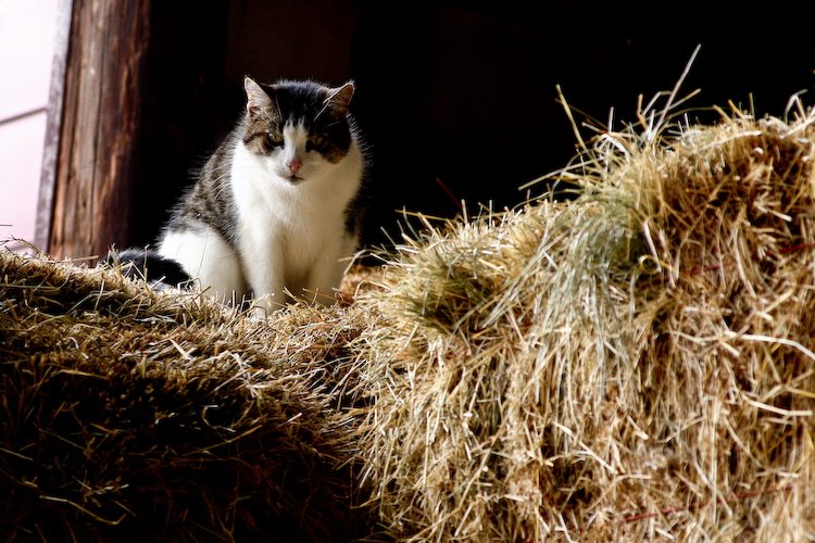 [08Oct29_Homestead_84.jpg]