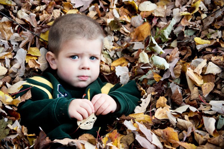 [08Nov11_leaves_52.jpg]