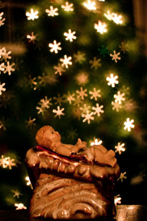 [08Dec04_bokeh_14.jpg]