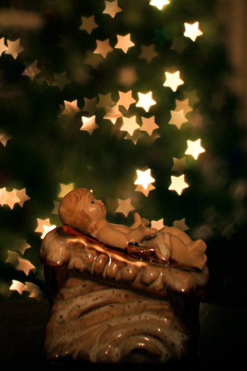 [08Dec04_bokeh_12.jpg]