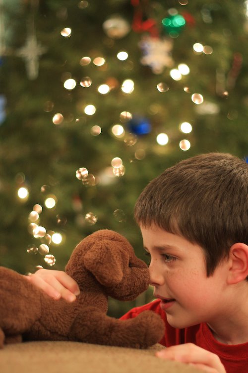 [09Jan02_bokeh_26.jpg]